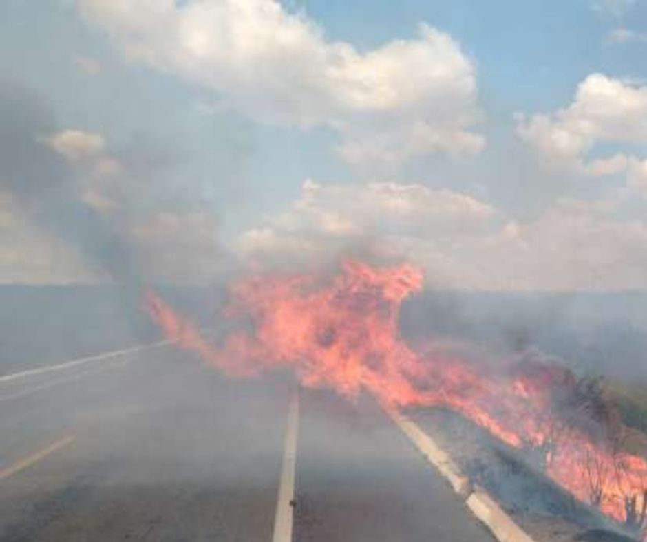 CCR MSVia alerta motoristas sobre riscos de queimadas na BR-163/MS