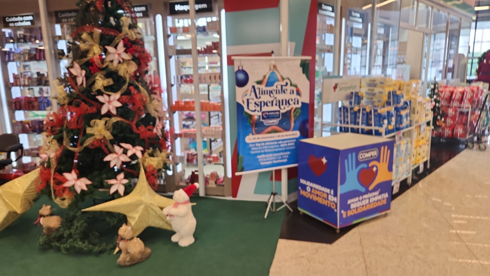 Campanha “Alimente a Esperança” do Grupo Pereira arrecada donativos para 15 instituições de Campo Grande e Dourados