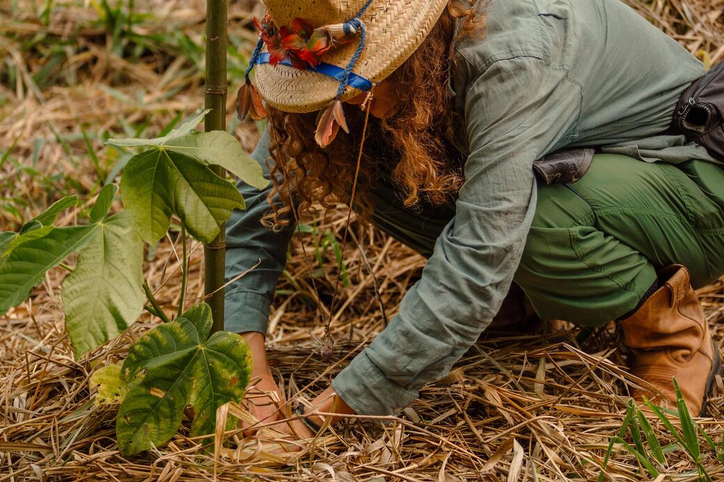 Grupo Pereira patrocina projeto de reflorestamento “Mil Pelo Planeta” no Pantanal