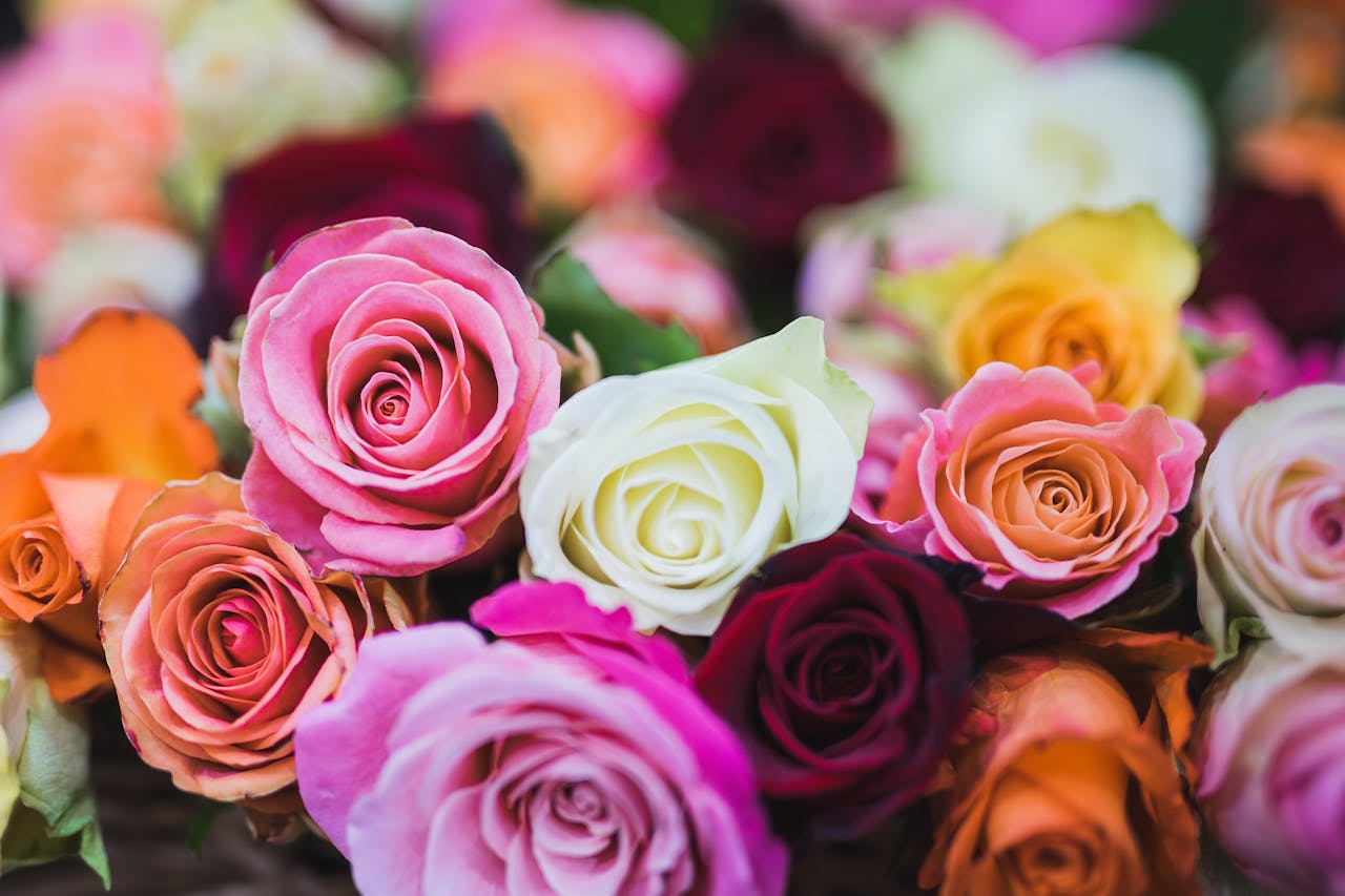Cerca de 20% dos filhos devem presentear mãe com flores, aponta pesquisa