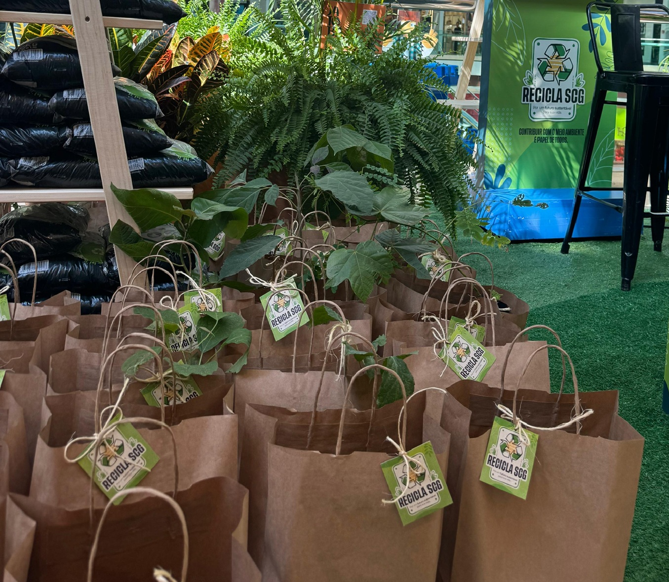 Dia da Árvore é celebrado com distribuição de sementes nativas e adubo no Shopping Campo Grande